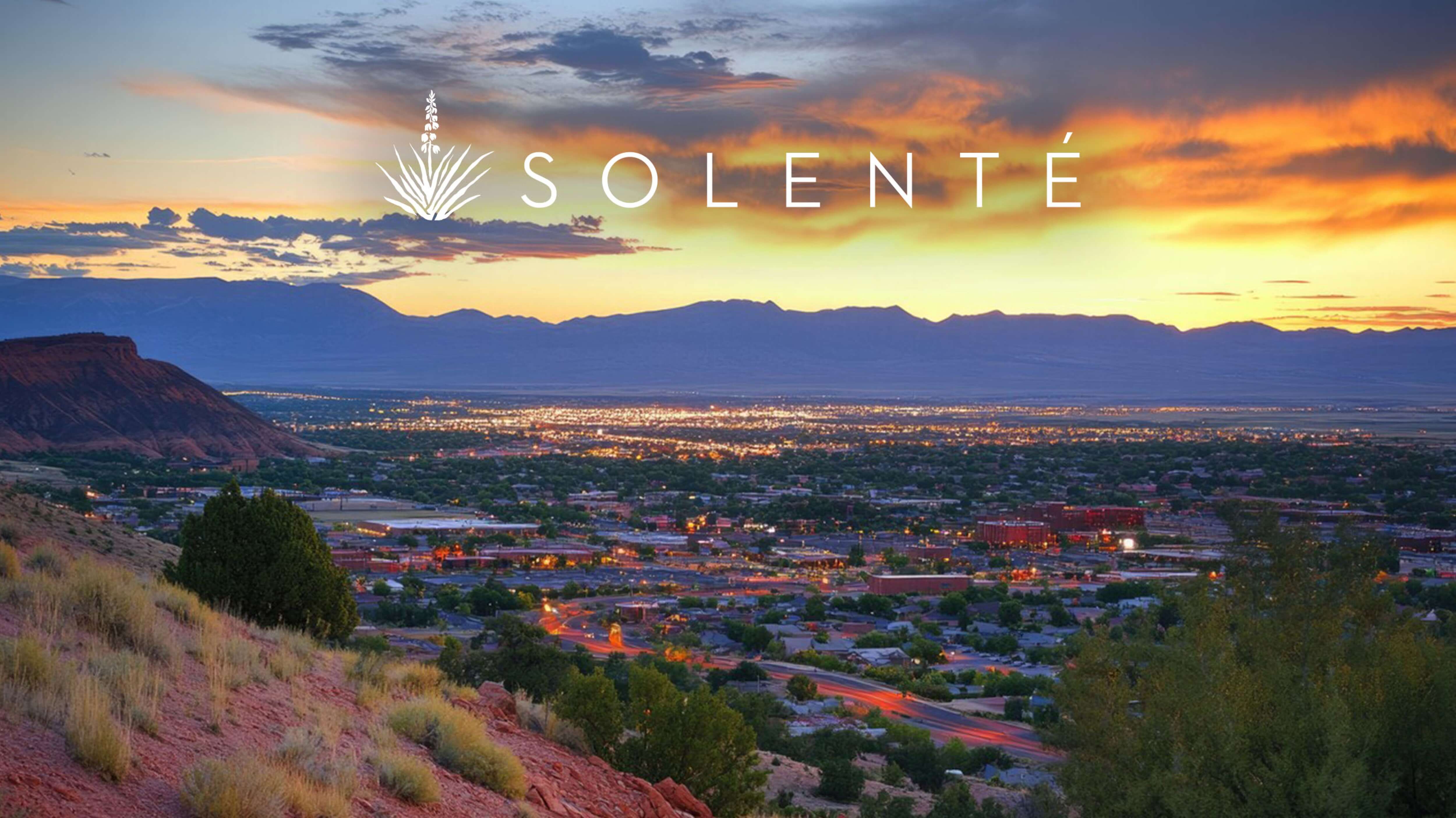 Blue Heron in Southern Utah